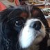helen walsh (@helenwa65751230) Twitter profile photo helen walsh (@helenwa65751230) Twitter profile photo