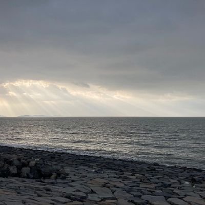 qlOHOlp's profile picture. 