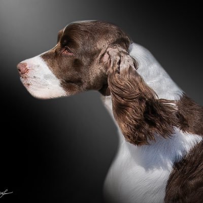 mcarsonaos's profile picture. CE0 Orthopaedic Rehab Agency