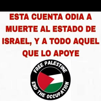 elchusdegranada's profile picture. Traductor técnico-Lenguas nórdicas 🇩🇰 🇸🇪 🇳🇴Andaluz de nacimiento, manchego de sangre. El ser humano de mi perro 🐶🏳️‍🌈