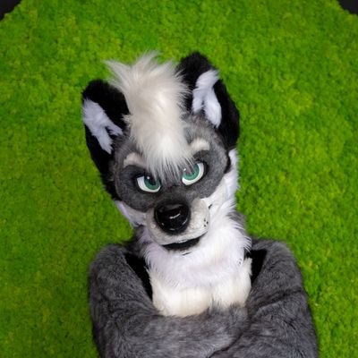 tungstenkitty Profile Picture