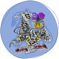 The Gruber Lab (@peptide_drugs) 's Twitter Profile Photo