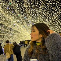 風 春 (@k04_f) Twitter profile photo