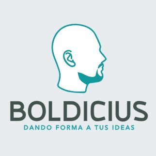 At Ontheflads, we have developed Boldicius, an advanced project management tool that introduces significant innovations in this field.