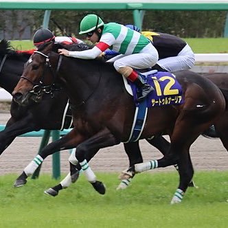 懸賞垢です！お酒がたくさん飲みたい！ビールとウイスキーが大好きです！あとはグーナーです！皆さんよろしくおねがいします！