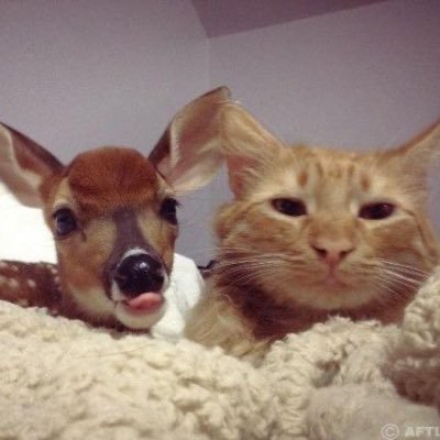 nousernopoint's profile picture. 