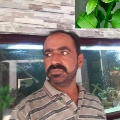 @ZaheerBalouch7