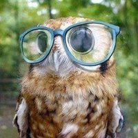 Nilhan Acar (@nilhanacar) 's Twitter Profile Photo Nilhan Acar (@nilhanacar) 's Twitter Profile Photo