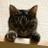 may0g3's profile image