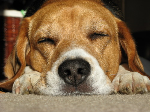 BryanJobe's profile picture. 