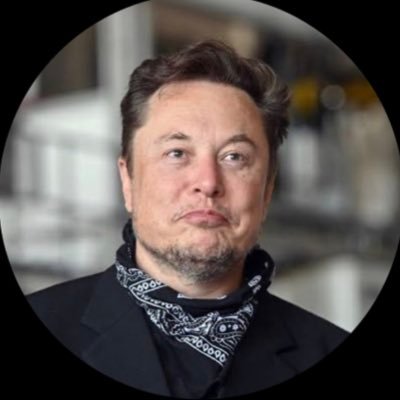 Elon musk parody account-D-Nfa Dyor🚀