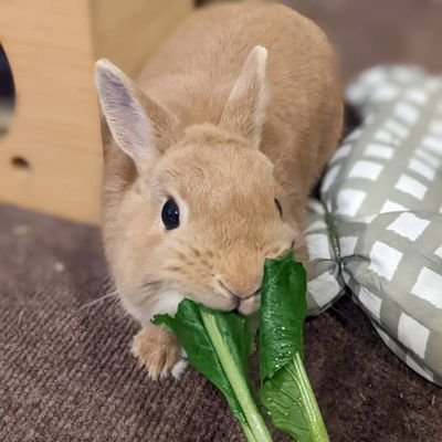 rrg9H8XCra58260's profile picture. 