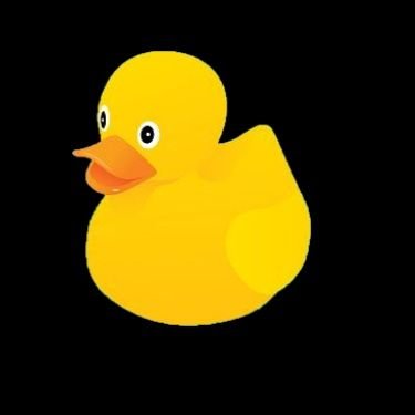 edwin_duck_ Profile Picture