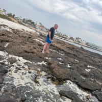 Ste Jackson (@stejacqs) 's Twitter Profile