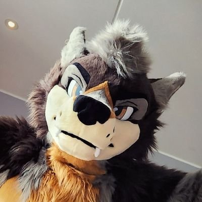 swifty_awoo Profile Picture