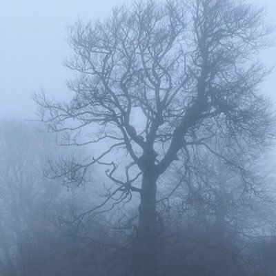 Joel__Gros's profile picture. 