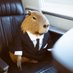 henry (@henryxmedia) Twitter profile photo henry (@henryxmedia) Twitter profile photo