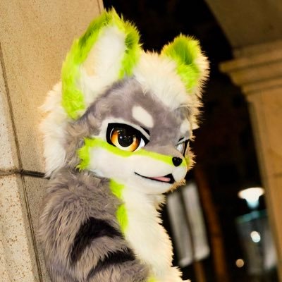 kemono_denji Profile Picture