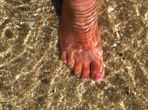 BeverleyHowden's profile picture. positive pessimist who hates litter.