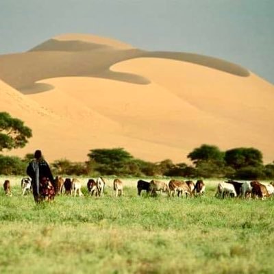 Hassane_14's profile picture. Ingénieur des Eaux & Forêts: Aménagement et Gestion des Ressources Forestières et Halieutiques-Cartographie-Suivi Ecologique. Prodct végétale-Piscicole-Apicole