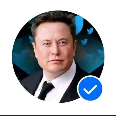 CEO OF TESLA MOTORS, PRIVATE ACCOUNT 🇺🇲