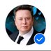 ELON REEVES MUSK (@elonreevesmuskt) Twitter profile photo