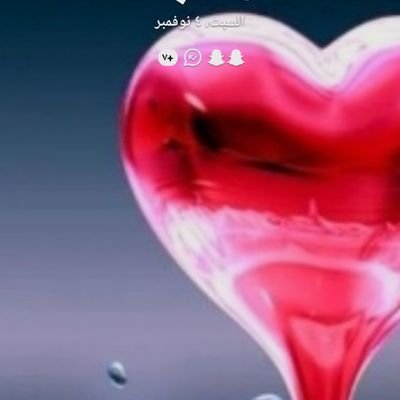 AlAlshr50's profile picture. 