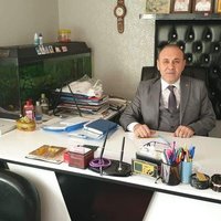 Ali Okumuş 🇹🇷🟢 (@aliokumus0670) Twitter profile photo