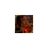 camillcoconnel's profile image