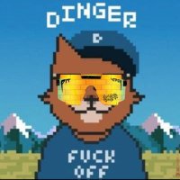 MeowD(@DingerMeow) 's Twitter Profileg