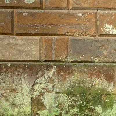 liam_boyle's profile picture. 