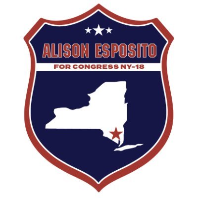 Fighting to elect @EspositoforNY as the next Congresswoman for #NY18.