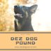 Dez Dog Pound (@dezdogpound) Twitter profile photo