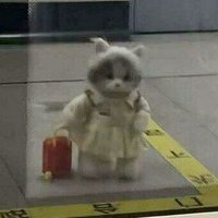 Sanders (@sanders1882) 's Twitter Profile Photo