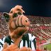 ALF Quemero (@alf_quemero) Twitter profile photo ALF Quemero (@alf_quemero) Twitter profile photo