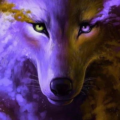 karum_othman's profile picture. what’s up!