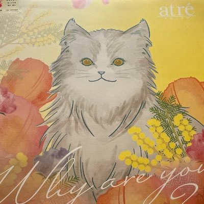 noko_catlover Profile Picture