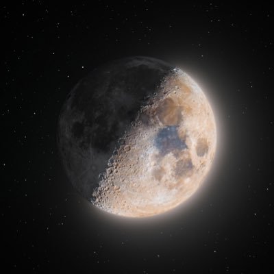 cadrau's profile picture. Full Metal Dev