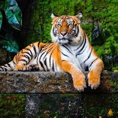 RaiMMkashi58989's profile picture. See