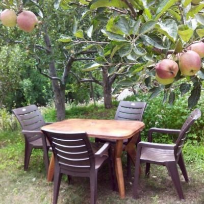 Sikander190937R's profile picture. 