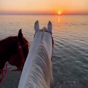 D (@ddkuw96) 's Twitter Profile Photo