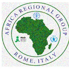 This is the official Page of the Africa Regional Group to the UN Rome-Based Agencies.