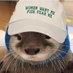 Wyatt (@mostlybluewyatt) Twitter profile photo Wyatt (@mostlybluewyatt) Twitter profile photo
