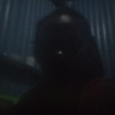 regina937876368's profile picture. 