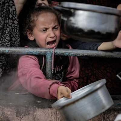 MohamedGhzzawi's profile picture. فَليَهدِمُوا كُلَّ المَآذِنِ فَوقَنا               
نَحنُ المَآذِن فَاسمَع التَّهلِيلا

                  إذا كانت المقاومة إرهاب فأنا أكبر إرهابياً 🇵🇸✌🏼