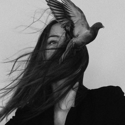 ol_qi0's profile picture. اليمامة اللي خلقها الله في جنوب الأرض ثم علمها رغم سطوة البٌندقية أن تطير 🕊..