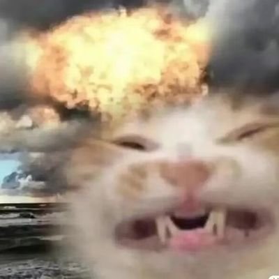 A beiさんのプロフィール画像