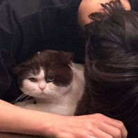 𝙿𝙺 (@091647k) 's Twitter Profile