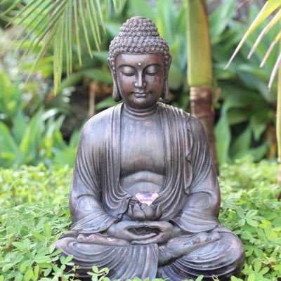 Buddaniel94's profile picture. 