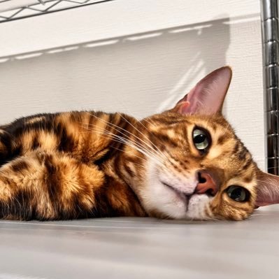 73ゆき (@akabotya1124) / Posts / X